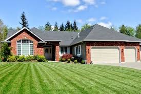Think you don't have enough space for trees? Foundation Plantings Purpose Design Considerations