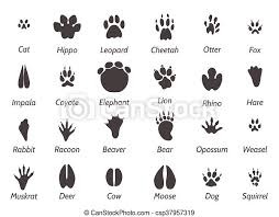 Zeit für cool kids fun. Tierspuren Wildtiere Schwarzer Fussabdruck Auf Weissem Hintergrund Mit Zeichen Vector Icons Eingestellt Canstock