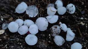 Ontem, a chuva forte e o granizo destruíram muitas culturas agrícolas e até muros de propriedades. Chuva E Granizo Inundam Casas E Levam Ao Corte De Estrada Em Montalegre Renascenca