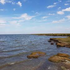 Mit viamichelin und seinen partnern können sie ihr hotelzimmer, bed&breakfast oder eine ferienwohnung ganz einfach mit wenigen klicks buchen. Ferienwohnungen Haus Am Burgerpark Hage Nordsee
