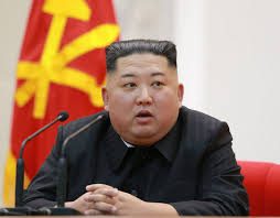 Was passiert, wenn kim jong un stirbt? Liegt Kim Jong Un Im Koma Salzburg24