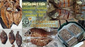 We did not find results for: Omena Delicacies Home Facebook