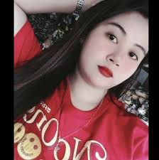 GV Florida Transport, INC.