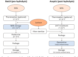 Pdf Lactose Free Dairy Products Market Developments Production Nutrition And Health Benefits Semantic Scholar