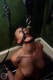 Debris X BDSM - an unforgettable journey into erotic power play