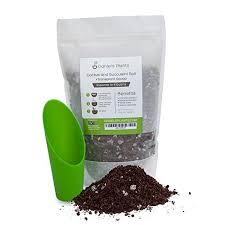 Miracle gro plant food is not suited to growing marijuana! 8 Best Potting Soils For Christmas Cactus 2021 Edition