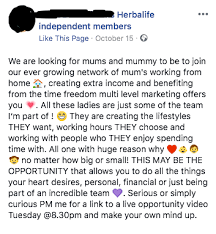 How Much Money Can You Really Make Working For Mlm Herbalife