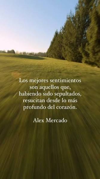 Los mejores sentimientos son aquellos que, habiendo sido sepultados,  resucitan desde lo más profundo del corazón., #frases #textos #escritos  #reflexiones #pensamientospositivos#inspiracion #motivacion ...