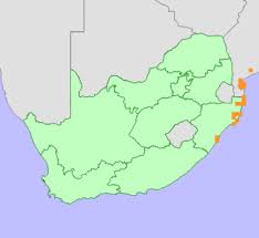 Image result for Krauseola