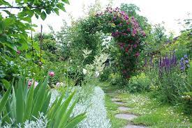 New posts latest activity new thread ratings. Rosenerziehung So Bluhen Deine Rosen Uppig Und Voll