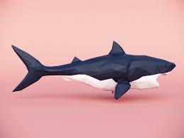 Low Poly Shark Poly Shark Shark Low Poly Poly