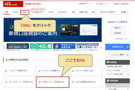 お名前 Com Dns Txtレコード設定でサーチコンソール登録 Solabo あきらめない雑記