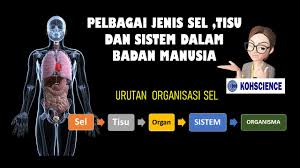 Kesan hujan asid hujan asid mendatangkan pelbagai kemudaratan terhadap beberapa aspek tertentu iaitu dari aspek kesihatan, kesuburan proses pembentukan hujan asid bagaimanakah hujan asid terhasil.? Sains T B9 B7 Perbincangan Soalan Hujan Asid Youtube