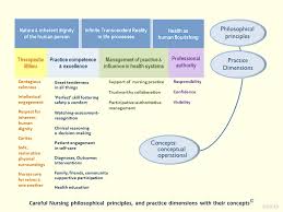 To become a clinical nurse, you should show your advanced leadership skills and abilities to manage and coordinate the whole nursing staff and improve. Professional Practice Model Careful Nursing