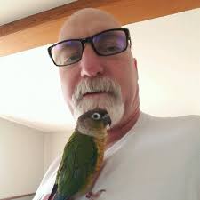 Mariko Hashimoto Email & Phone Number