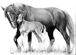 Aw Mom By Define X On Deviantart Horse Drawings Horses Horse Art
