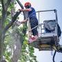 Manhattan Tree Removal from manhattantreeremoval.com