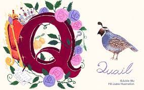 niusnews妞新聞 最新鮮有趣的女性專屬新聞台 decor design rooster