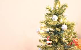 We did not find results for: A Hemp Christmas Tree The Marijuana Times