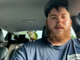 Lost bird found at Crandall Dollar Tree