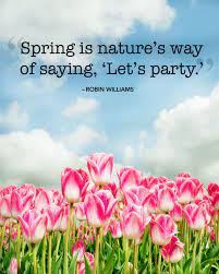 Pin On Our Favorite Quotes