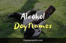 Alcohol Dog Names 151 Briliant Liquor Names For Dogs 2020 Dog Names Funny Wifi Names Female Dog Names