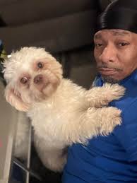 lemon and cloves health benefits