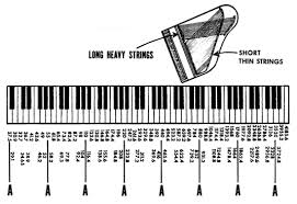 Frequency And Pitch