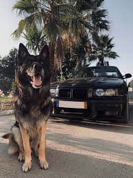 Made In Germany Bmw Classic Cars Bmw Bmw E36