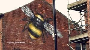 Image result for manchester bees