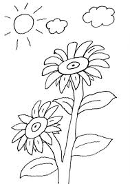 Kostenlose Malvorlage Blumen Sonnenblume Zum Ausmalen