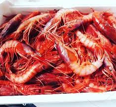 Tatil evleri marina di mancaversa. Trattoria Maro Marina Di Mancaversa Menu Preise Restaurant Bewertungen Tripadvisor