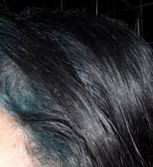 There is this option, which indeed is a little expensive, but it. Blue Hair Streaks Purple Hair Dye Voyage Indigo Natural Hair Dye In Gray Hair And Blonde Hair Renaissance Henna