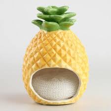 Pineapple Ceramic Sponge Holder Ananas Dekor Dekor Schwammhalter