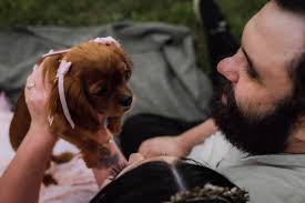 Hi, i have a 2 year old cavallier named Ruby, she is perfect, loves  everyone, loves to play a lot.. We love her to bits!! But im getting  concerned, in the last