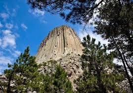 Devils tower is a tree. Hd Wallpaper Devils Tower Trees Wyoming Monument National America Monolith Wallpaper Flare