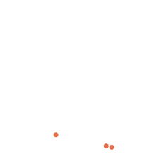 Image result for Orthopichonia cirrhosa