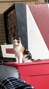 Profile for Daniel Hupe