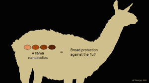 Yes there is a small camel in the picture.it is located on the south east. Merged Two Breakthrough Technologies Into