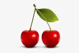 Cherry blossom fruit sour cherry, cherry png. Free Png Cherries Png Images Transparent Cherry Icon Transparent Png 480x480 Free Download On Nicepng