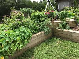 How to build a cedar raised garden bed. Raised Beds Home Garden Information Center