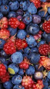 Nature Blue Fruits Berries Wild Berry