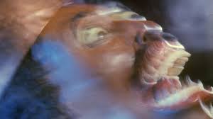 Watch Night Train to Terror (1985) - Free Movies | Tubi