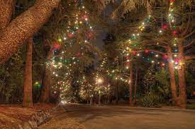 Christmas Tree Lane In Altadena Ca Just Above Pasadena If You Have The Opportunity Be Sure To Visit Christmas Tree La Holiday Lights Holiday Holiday Pops