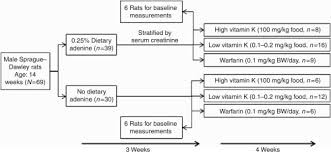 Dietary Vitamin K And Therapeutic Warfarin Alter The
