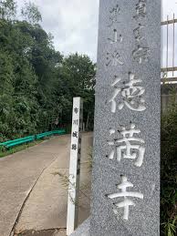 シンの戦国探訪記