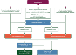 Treatment planning is then discussed in a multidisciplinary team. Early Breast Cancer Esmo Clinical Practice Guidelines For Diagnosis Treatment And Follow Up Annals Of Oncology