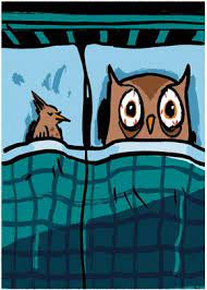 What Keeps You Up At Night The New Yorker