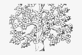 2) from the middle of the rectangle, draw one draw smooth light guidelines for a cherry branch. Drawn Roots Tree Outline Cherry Blossom Tree Drawing Black And White Png Image Transparent Png Free Download On Seekpng