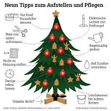 Pm Den Weihnachtsbaum Richtig Aufstellen - Verband Natürlicher  Weihnachtsbaum